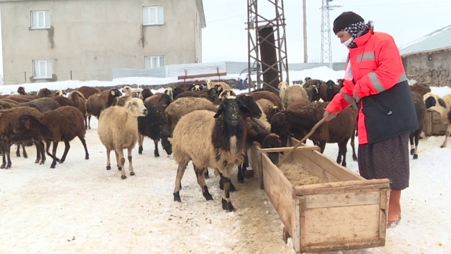 Fotoğraf: TRT Haber